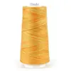 Peachy Orange Swirls Maxi-lock 3000yd Polyester Serger Overlocker Thread