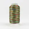 Multicolour 24 Accent by Wonderfil