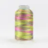 Multicolour 38 Accent by Wonderfil aka Variegated
