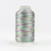 Multicolour 40 Accent by Wonderfil aka Variegated
