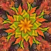 Autumn Dream Big Leaf Hoffman Quilt Panel 43 x 43 Inches Digital Print - HR4617-066