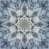 Slate Dream Big Kaleidoscope Hoffman Quilt Panel 43 x 43 Inches Digital Print
