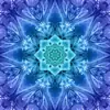 Hummingbird Dream Big Kaleidoscope Hoffman Quilt Panel 43 x 43 Inches Digital Print