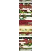 Traditional Christmas Rainbow aka Jelly Roll