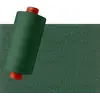 Forest Green #1097 Rasant Thread 1000M