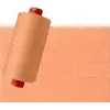 Light Apricot Orange #1352 Rasant Thread 1000M