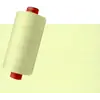 Vanilla #6025 Rasant Thread 1000M