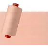 Pale Apricot #1751 Rasant Thread 1000M