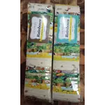 2 x Green and Cream Rainbows aka Jelly Roll Plus Free Buddies Star Quilt Pattern