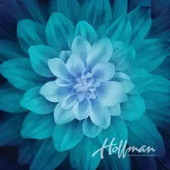 Teal Dream Big Hoffman Quilt Panel 43 x 43 Inches Digital Print