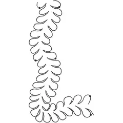 S-Curve Feather Border Medium #30450