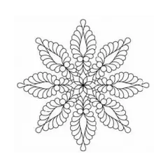 Feather Star, 8 Point #30583