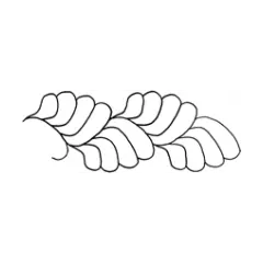 Feather Border #30349