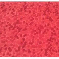 Red - Chroma Dots - W108in
