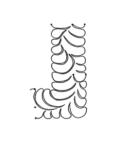 Uneven Feather Border lge #30456