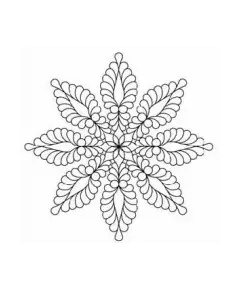 Feather Star, 8 Point #30583