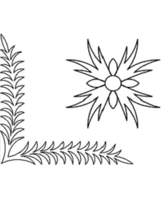 Bloom 'n Fern #30579