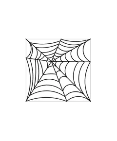 Spider Web #30528