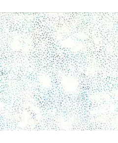 885-532 Aurora by Hoffman