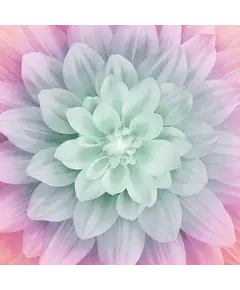 Pastel Dream Big Hoffman Quilt Panel 43 x 43 Inches Digital Print