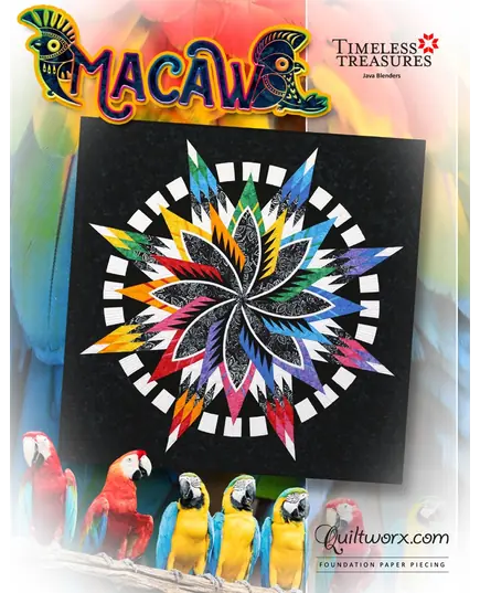 Macaw by Judy Niemeyer SEE VIDEO