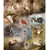 Fauna Nestled in Nature Hoffman Quilt Panel 43 x 27 Inches Digital Print