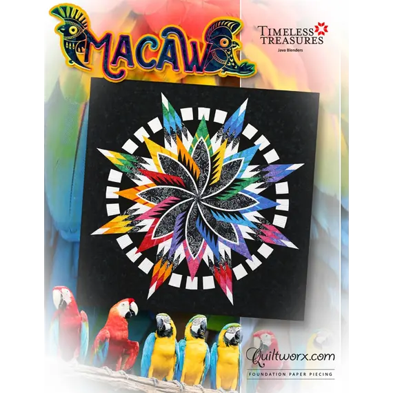 Macaw by Judy Niemeyer SEE VIDEO