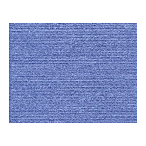 Medium Delft Blue #0355 Rasant Thread 1000M - Image of Colour Swatch