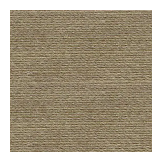 Dark Beaver Grey #0876 Rasant Thread 1000M - Image of Colour Swatch