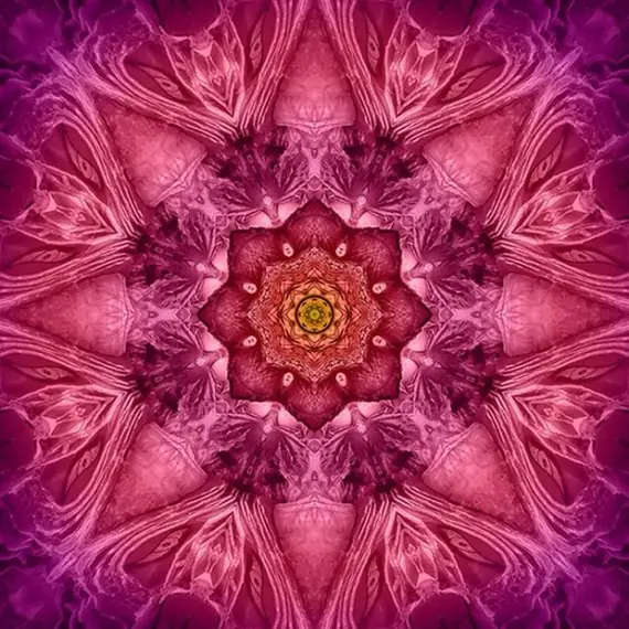 Fuchsia Dream Big Kaleidoscope Hoffman Quilt Panel 43 x 43 Inches Digital Print