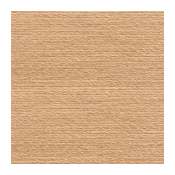 Dark Beige #1483 Rasant Thread 1000M - Image of Colour Swatch