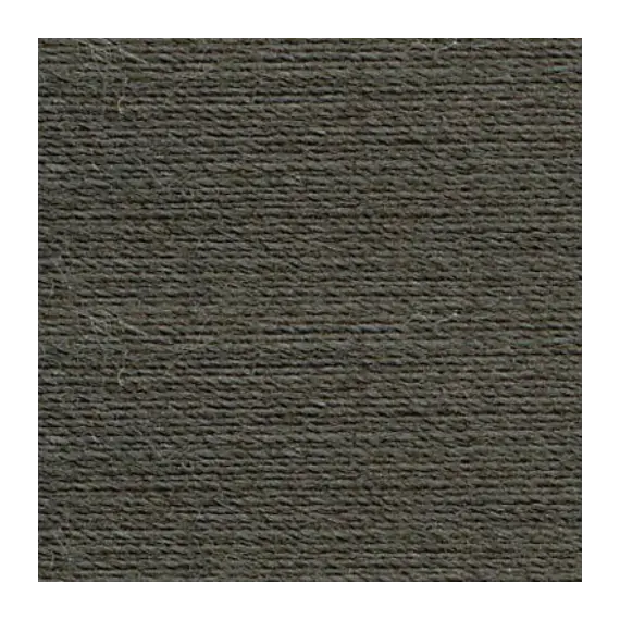 Light Ash Grey #0416 Rasant Thread 1000M - Image of Colour Swatch
