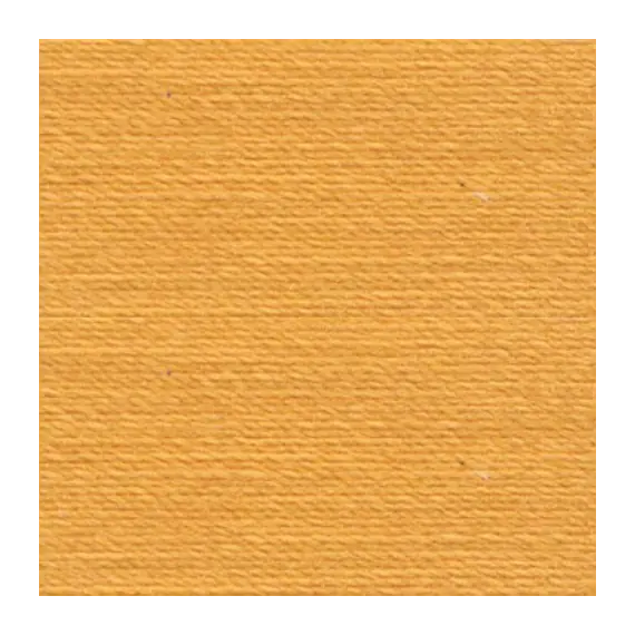Dark Yellow Beige #1172 Rasant Thread 1000M - Image of Colour Swatch