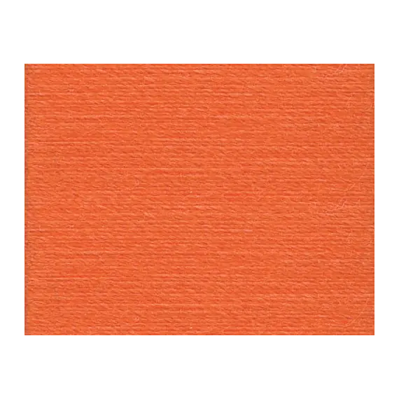 Pumpkin Orange #1333 Rasant Thread 1000M - Image of colour swatch
