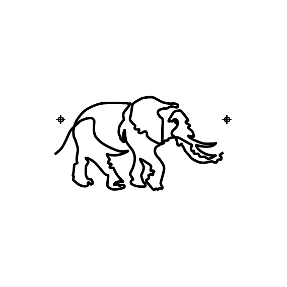 Elephants on the run #50005