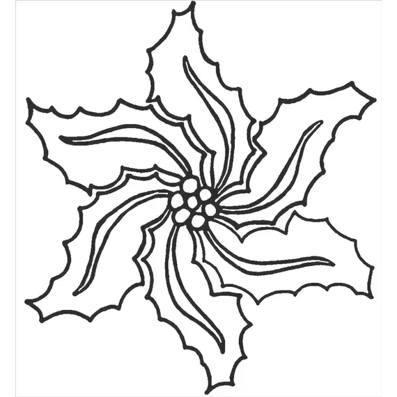 Holly Star #30451