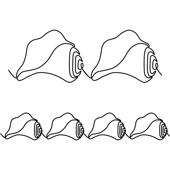 Sea Shell Border 40044