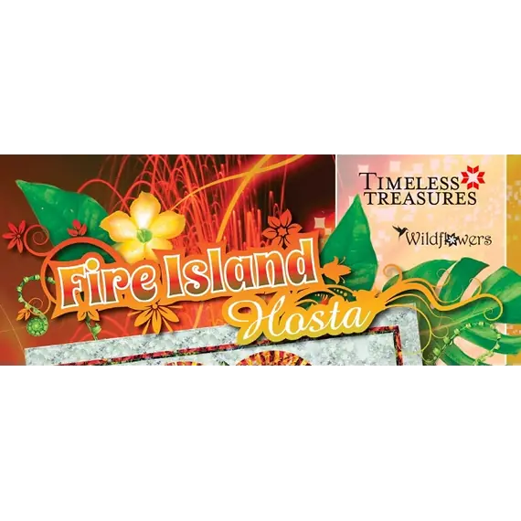 Fire Island Hosta Replacement Papers by Judy Niemeyer