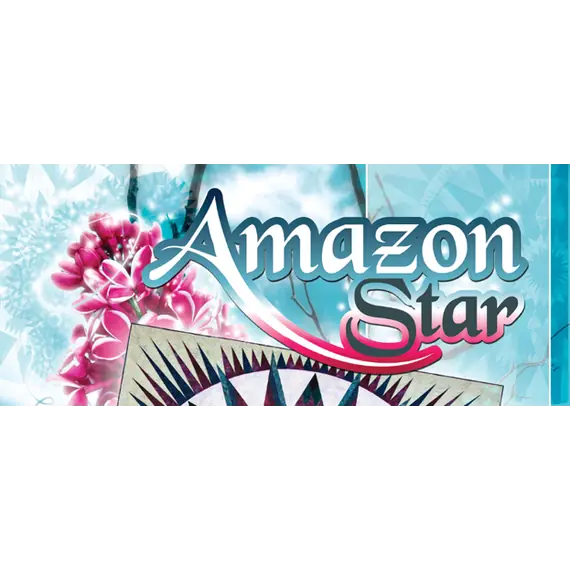 Amazon Star Pattern by Judy Niemeyer - Image of Pattern Banner