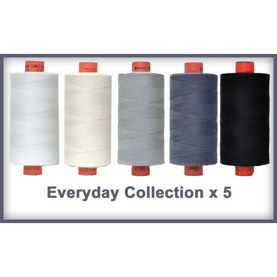 Everyday 5 Colour Set Rasant Thread 1000M