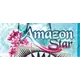 Amazon Star Pattern by Judy Niemeyer - Image of Pattern Banner