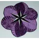 African Violets Placemats Pattern Judy Niemeyer - Image of Placemat in Purple