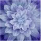 Hydrangea Dream Big Hoffman Quilt Panel 43 x 43 Inches Digital Print